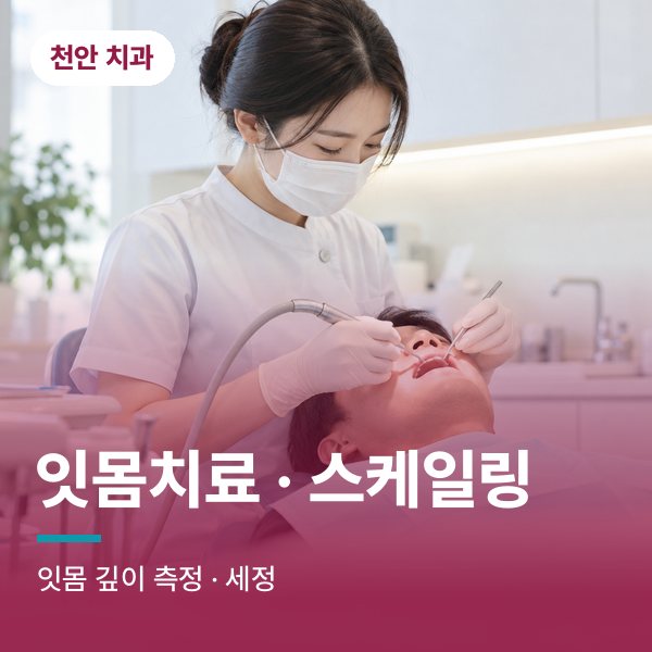 잇몸치료 · 스케일링